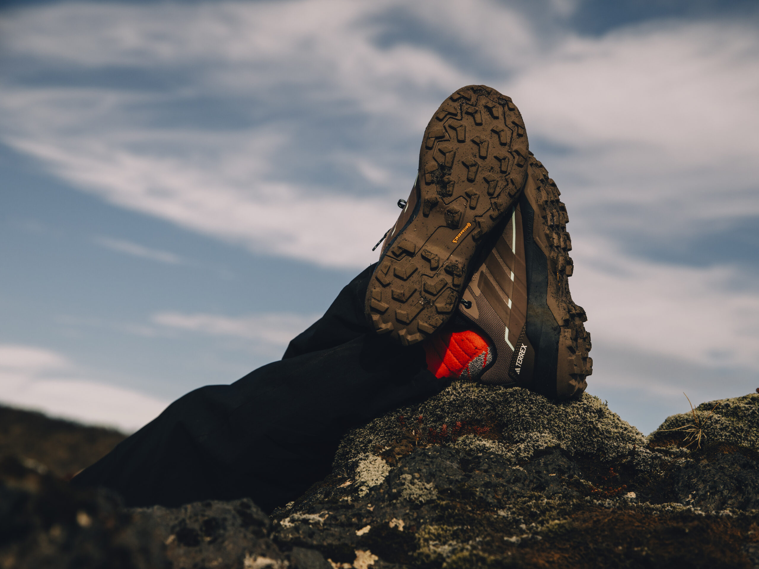 Вперед у дорогу! Феномен взуття adidas TERREX