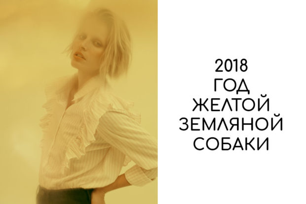 Что надеть на Новый 2018 год Собаки? Обсуждаем стильные идеи.